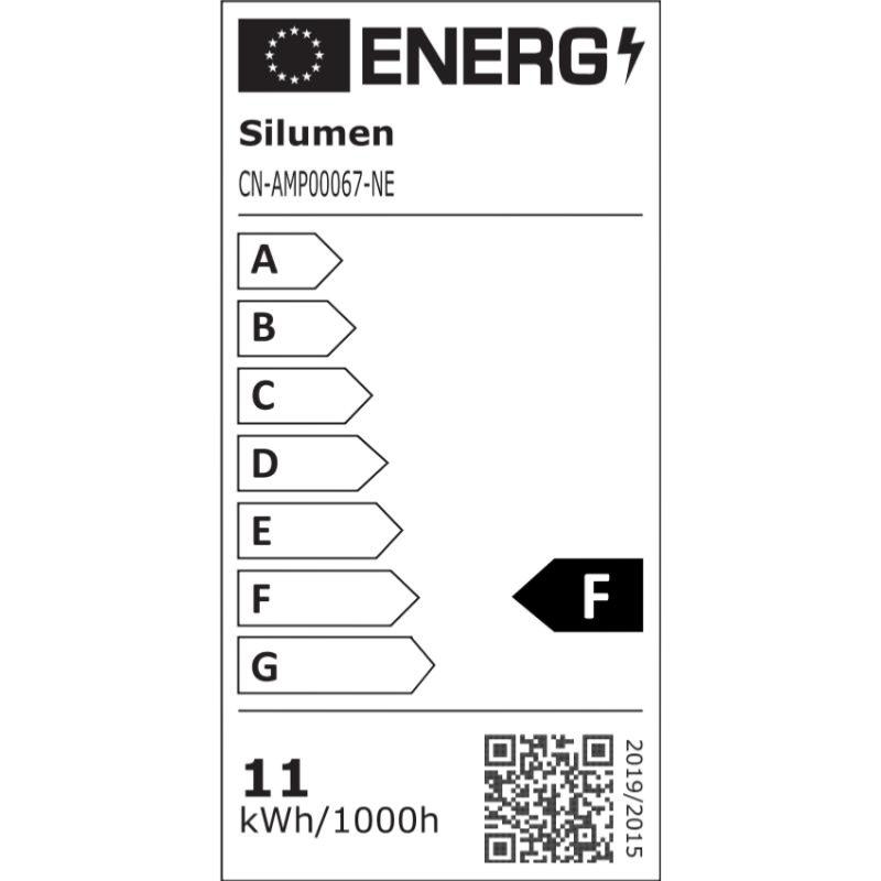 Ampoule LED Zigbee Connectée WiFi E27 11W G95 RGBW